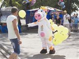 Фестиваль сыра в Костроме - 2018
